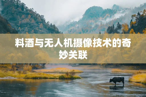 料酒与无人机摄像技术的奇妙关联