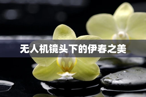 无人机镜头下的伊春之美