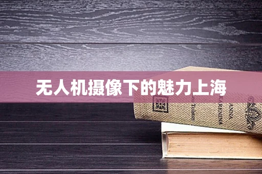 无人机摄像下的魅力上海