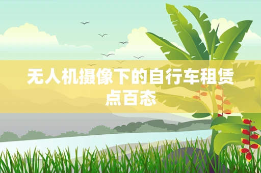 无人机摄像下的自行车租赁点百态