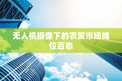 无人机摄像下的农贸市场摊位百态