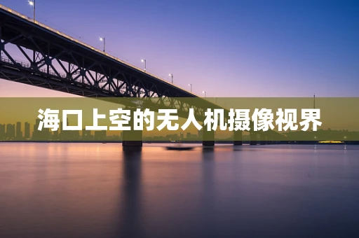 海口上空的无人机摄像视界