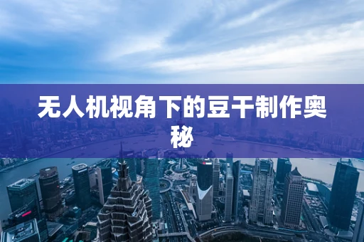 无人机视角下的豆干制作奥秘