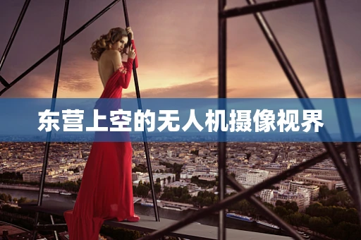 东营上空的无人机摄像视界