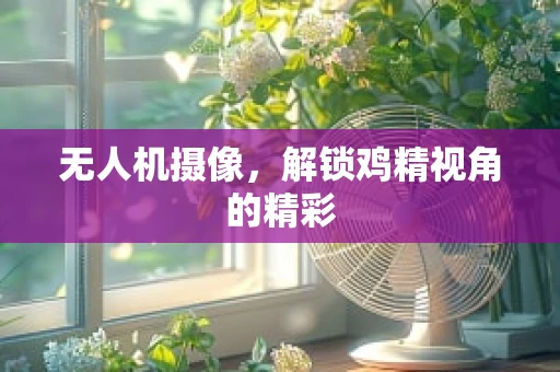 无人机摄像，解锁鸡精视角的精彩
