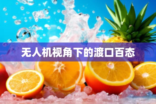 无人机视角下的渡口百态