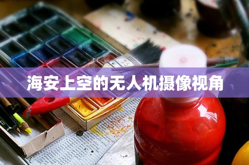 海安上空的无人机摄像视角