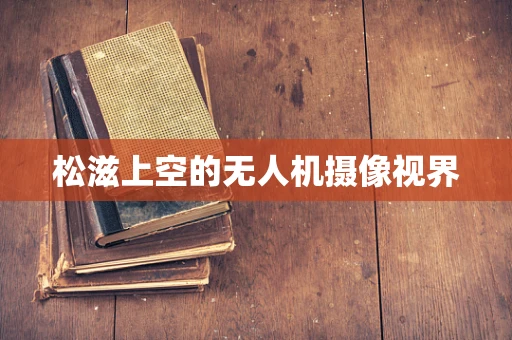 松滋上空的无人机摄像视界