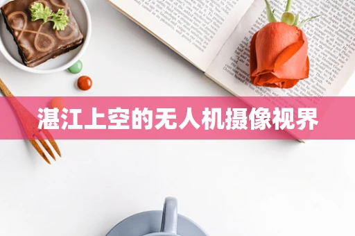 湛江上空的无人机摄像视界