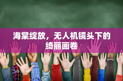 海棠绽放，无人机镜头下的绮丽画卷