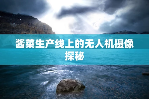 酱菜生产线上的无人机摄像探秘