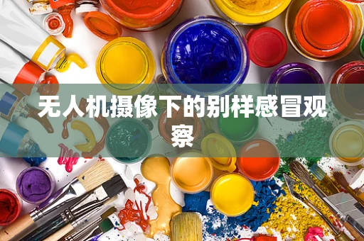 无人机摄像下的别样感冒观察