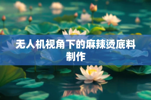无人机视角下的麻辣烫底料制作