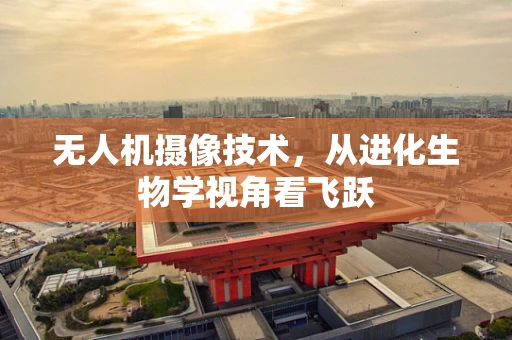 无人机摄像技术，从进化生物学视角看飞跃