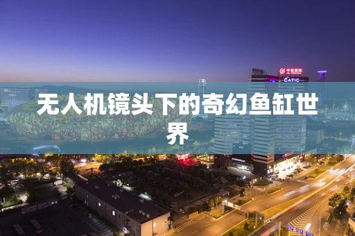 无人机镜头下的奇幻鱼缸世界