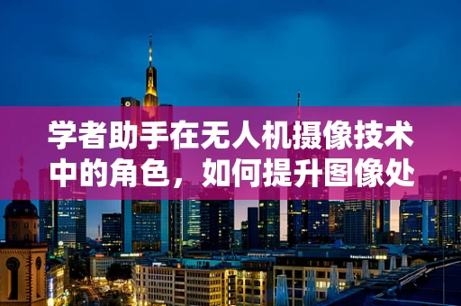 学者助手在无人机摄像技术中的角色，如何提升图像处理与传输效率？