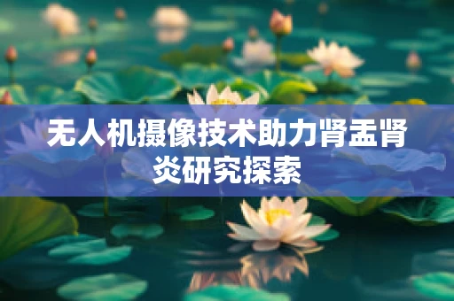 无人机摄像技术助力肾盂肾炎研究探索