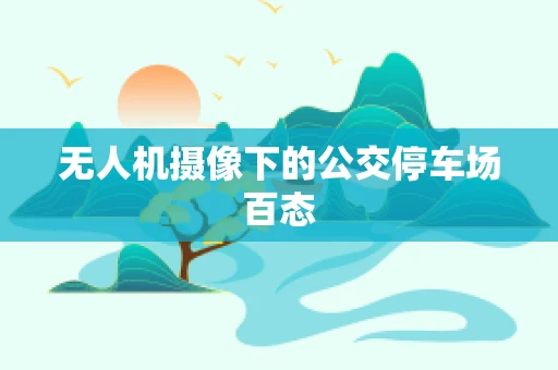 无人机摄像下的公交停车场百态