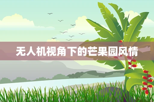 无人机视角下的芒果园风情