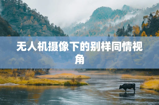 无人机摄像下的别样同情视角