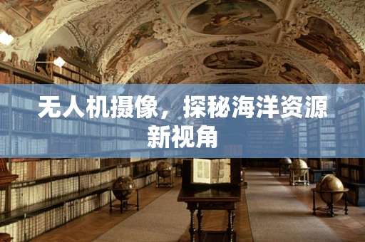 无人机摄像，探秘海洋资源新视角