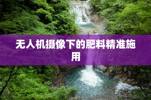 无人机摄像下的肥料精准施用