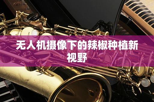 无人机摄像下的辣椒种植新视野
