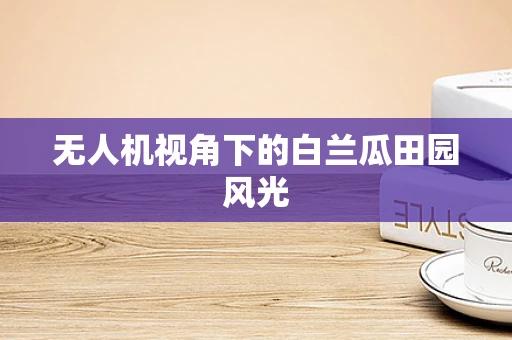 无人机视角下的白兰瓜田园风光