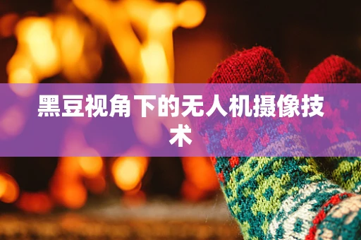 黑豆视角下的无人机摄像技术