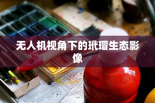 无人机视角下的玳瑁生态影像