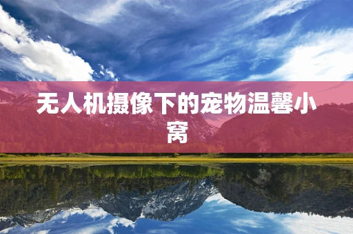 无人机摄像下的宠物温馨小窝