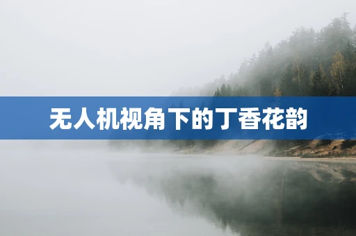 无人机视角下的丁香花韵