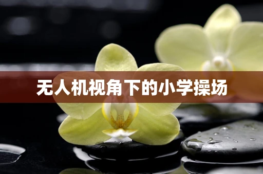 无人机视角下的小学操场