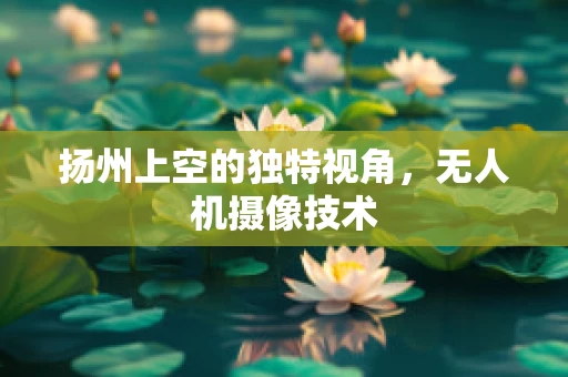 扬州上空的独特视角，无人机摄像技术