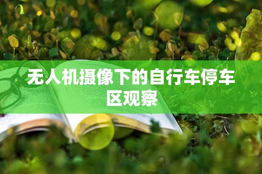 无人机摄像下的自行车停车区观察