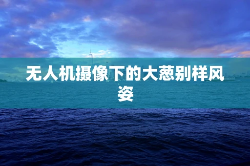 无人机摄像下的大葱别样风姿