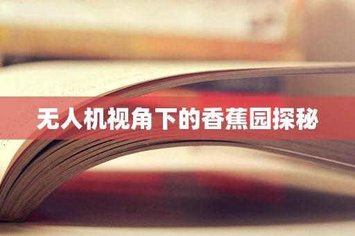 无人机视角下的香蕉园探秘