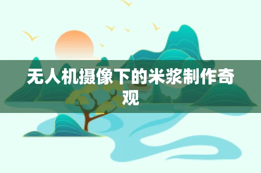 无人机摄像下的米浆制作奇观