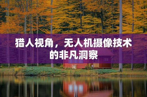 猎人视角，无人机摄像技术的非凡洞察