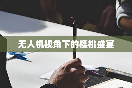 无人机视角下的樱桃盛宴