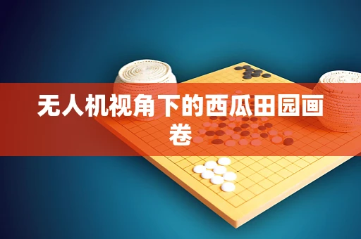 无人机视角下的西瓜田园画卷
