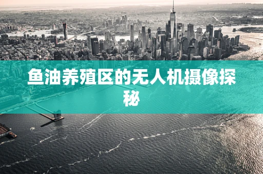 鱼油养殖区的无人机摄像探秘
