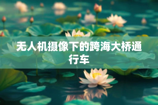 无人机摄像下的跨海大桥通行车