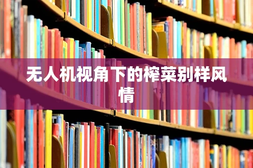 无人机视角下的榨菜别样风情