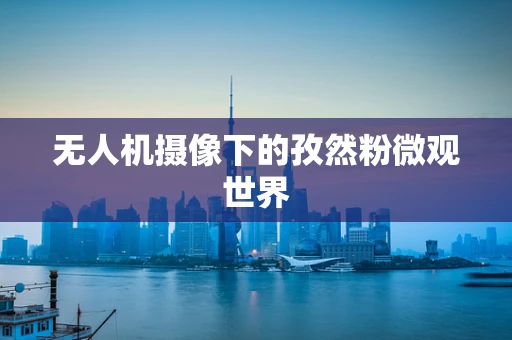 无人机摄像下的孜然粉微观世界