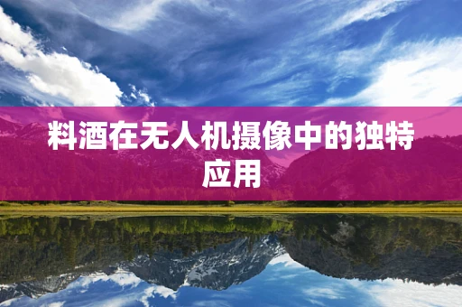 料酒在无人机摄像中的独特应用