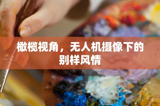 橄榄视角，无人机摄像下的别样风情