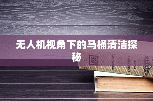 无人机视角下的马桶清洁探秘
