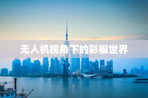 无人机视角下的彩椒世界