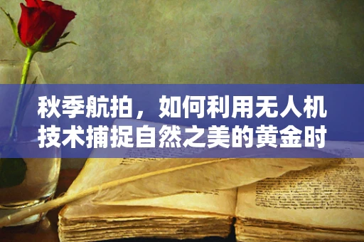 秋季航拍，如何利用无人机技术捕捉自然之美的黄金时刻？